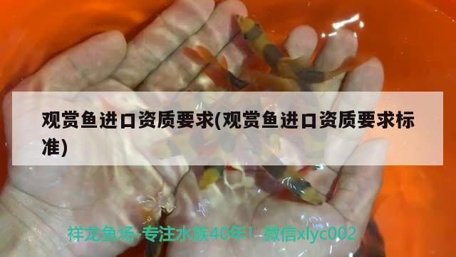 金龍魚適宜溫度多少度：金龍魚適合溫度是多少度 廣州水族批發(fā)市場 第3張