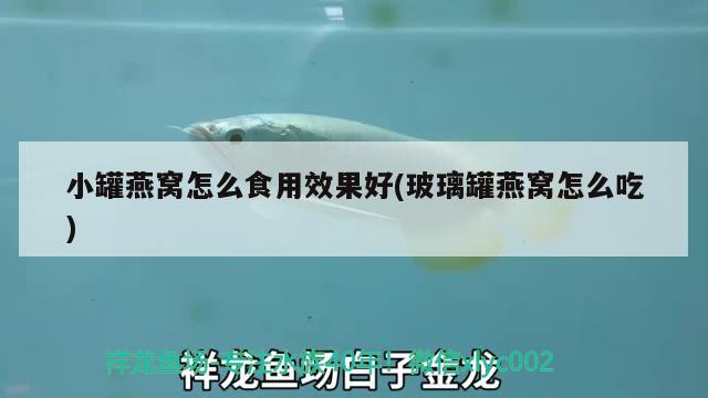 小罐燕窩怎么食用效果好(玻璃罐燕窩怎么吃)