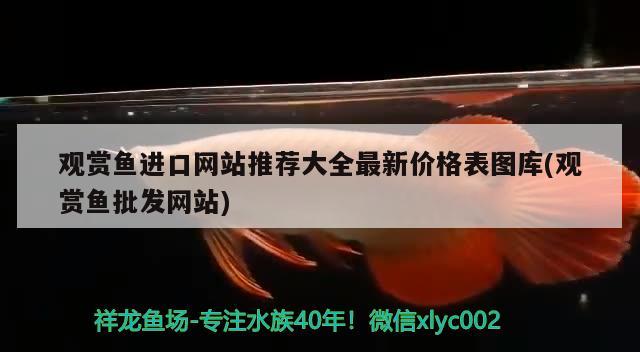 觀賞魚進口網(wǎng)站推薦大全最新價格表圖庫(觀賞魚批發(fā)網(wǎng)站) 觀賞魚進出口