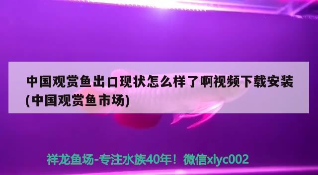 魚缸隔離盒怎么使用方法視頻（魚缸孵化盒的使用方法） 其他品牌魚缸