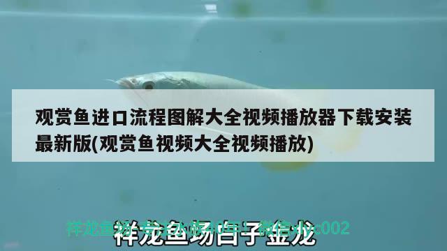 濟南收魚缸電話號碼多少?。夏挠凶鲷~缸的） 白化火箭