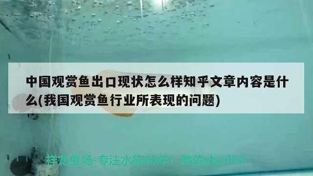 中國觀賞魚出口現(xiàn)狀怎么樣知乎文章內(nèi)容是什么(我國觀賞魚行業(yè)所表現(xiàn)的問題) 觀賞魚進出口