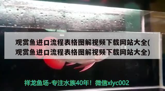 觀賞魚進(jìn)口流程表格圖解視頻下載網(wǎng)站大全(觀賞魚進(jìn)口流程表格圖解視頻下載網(wǎng)站大全) 觀賞魚進(jìn)出口