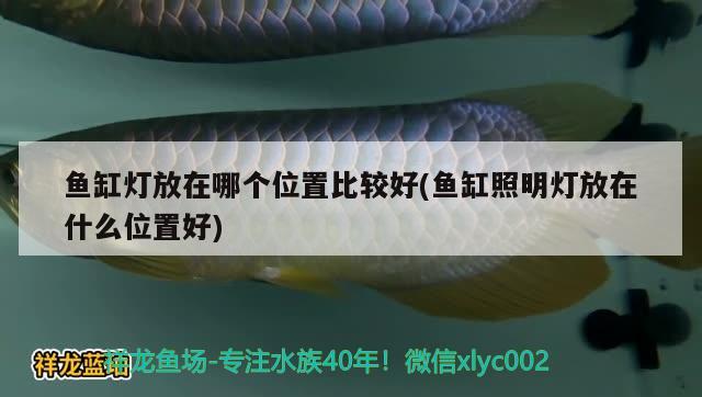 魚(yú)缸燈放在哪個(gè)位置比較好(魚(yú)缸照明燈放在什么位置好) 巴西亞魚(yú)