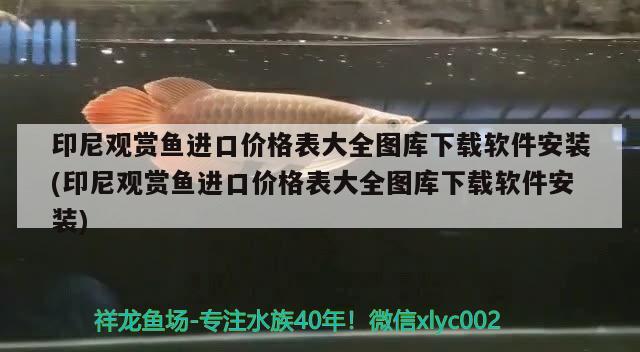 印尼觀賞魚進(jìn)口價格表大全圖庫下載軟件安裝(印尼觀賞魚進(jìn)口價格表大全圖庫下載軟件安裝) 觀賞魚進(jìn)出口