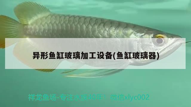 異形魚缸玻璃加工設(shè)備(魚缸玻璃器)