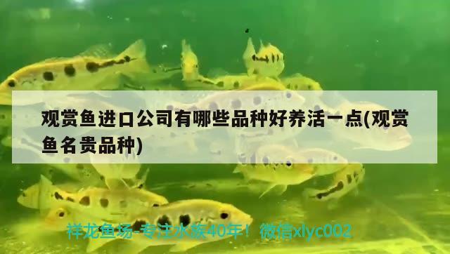 綿陽魚缸維修電話地址及電話號碼（綿陽魚缸維修電話地址及電話號碼查詢）