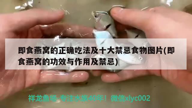 綿陽魚缸維修電話地址及電話號(hào)碼（綿陽魚缸維修電話地址及電話號(hào)碼查詢）