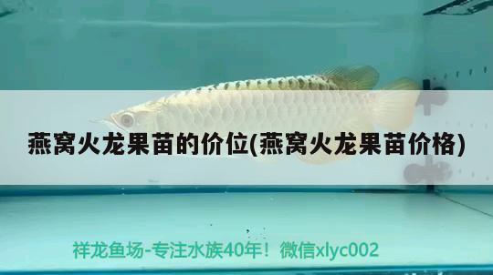 佳寶魚缸改造（佳寶魚缸改造過濾系統(tǒng)） 魚缸風水 第2張