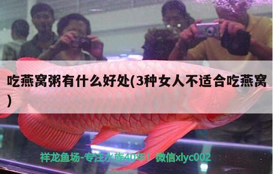 怎么固定魚(yú)缸里的水草：魚(yú)缸里面的水草怎么固定