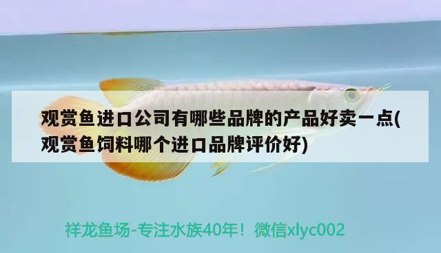 觀賞魚進(jìn)口公司有哪些品牌的產(chǎn)品好賣一點(diǎn)(觀賞魚飼料哪個(gè)進(jìn)口品牌評(píng)價(jià)好) 觀賞魚進(jìn)出口