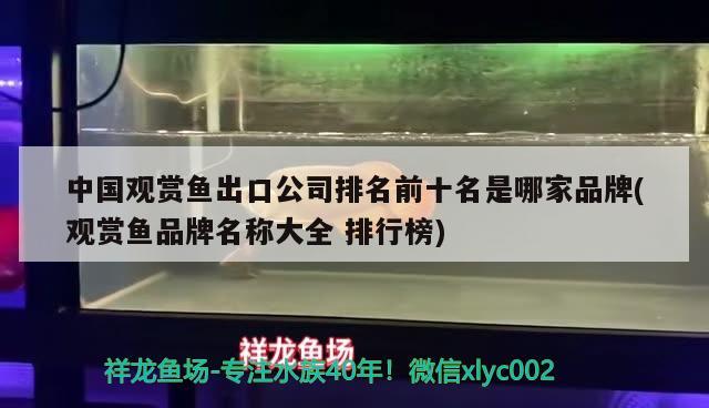 中國(guó)觀賞魚出口公司排名前十名是哪家品牌(觀賞魚品牌名稱大全排行榜) 觀賞魚進(jìn)出口