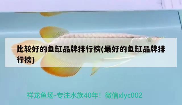 比較好的魚缸品牌排行榜(最好的魚缸品牌排行榜) 銀龍魚苗 第2張