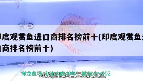 印度觀賞魚進口商排名榜前十(印度觀賞魚進口商排名榜前十)