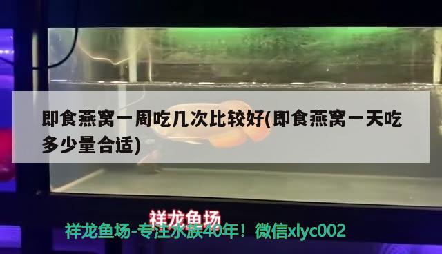 林芝水族批發(fā)市場在哪里有 林芝市哪有休閑水療會(huì)所 球鯊魚