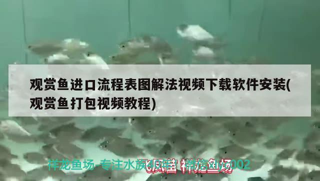 觀賞魚進口流程表圖解法視頻下載軟件安裝(觀賞魚打包視頻教程) 觀賞魚進出口