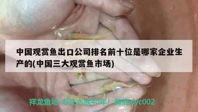 銀龍魚分類及圖片（銀龍魚品相圖解） 祥龍龍魚魚糧 第1張