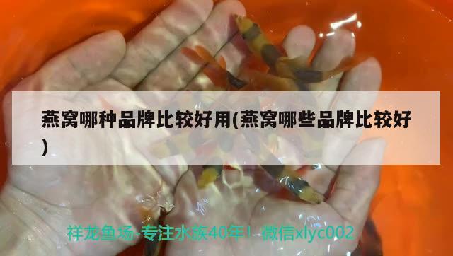 燕窩哪種品牌比較好用(燕窩哪些品牌比較好) 馬來(lái)西亞燕窩