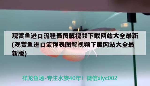 觀賞魚進(jìn)口流程表圖解視頻下載網(wǎng)站大全最新(觀賞魚進(jìn)口流程表圖解視頻下載網(wǎng)站大全最新版)