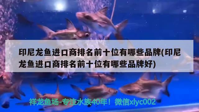 魚缸安定劑是什么成份（魚缸安定劑對魚有影響嗎）