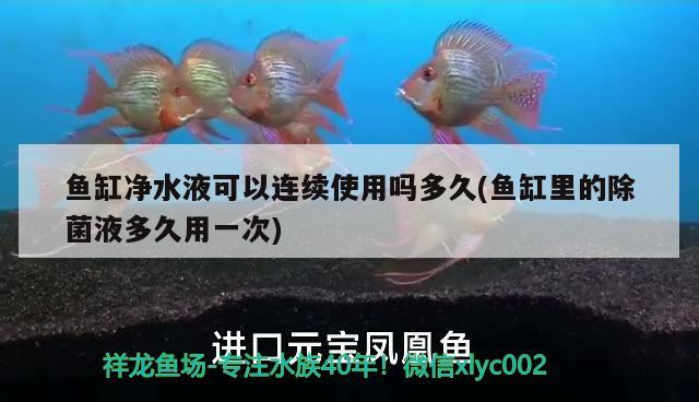 魚缸凈水液可以連續(xù)使用嗎多久(魚缸里的除菌液多久用一次) 巴西亞魚