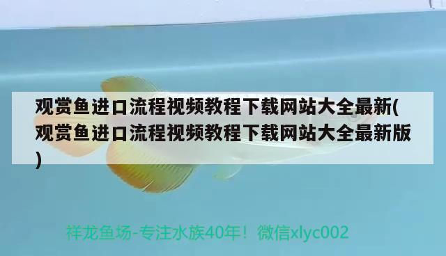 觀賞魚進口流程視頻教程下載網站大全最新(觀賞魚進口流程視頻教程下載網站大全最新版)