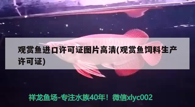 觀賞魚進(jìn)口許可證圖片高清(觀賞魚飼料生產(chǎn)許可證) 觀賞魚進(jìn)出口