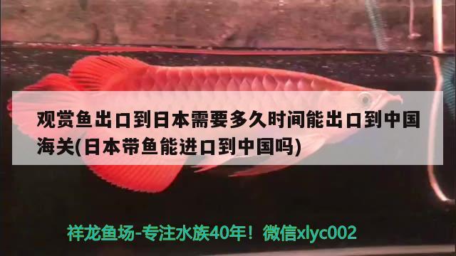 觀賞魚出口到日本需要多久時(shí)間能出口到中國(guó)海關(guān)(日本帶魚能進(jìn)口到中國(guó)嗎)