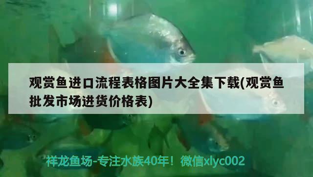 觀賞魚進口流程表格圖片大全集下載(觀賞魚批發(fā)市場進貨價格表) 觀賞魚進出口