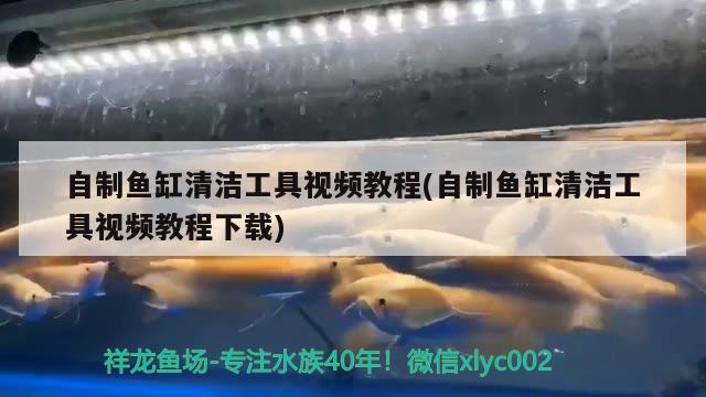 魚缸組裝怎么安裝圖解圖片大全集（魚缸組裝怎么安裝圖解圖片大全集高清） 其他品牌魚缸 第3張