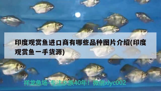 百色魚缸制作視頻教學下載軟件及免費百色魚缸制作視頻教學，免費百色魚缸制作視頻教學下載軟件