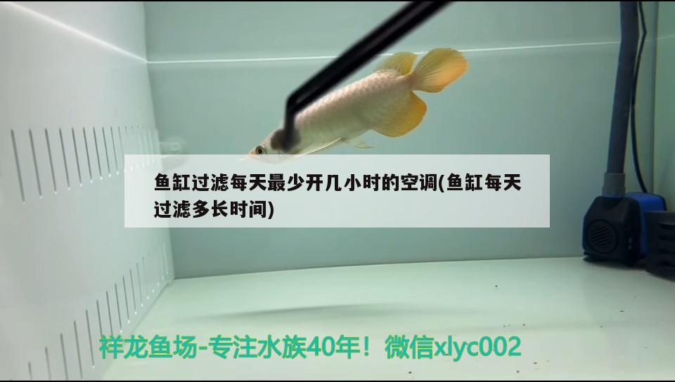 魚(yú)缸過(guò)濾每天最少開(kāi)幾小時(shí)的空調(diào)(魚(yú)缸每天過(guò)濾多長(zhǎng)時(shí)間) 藍(lán)底過(guò)背金龍魚(yú)