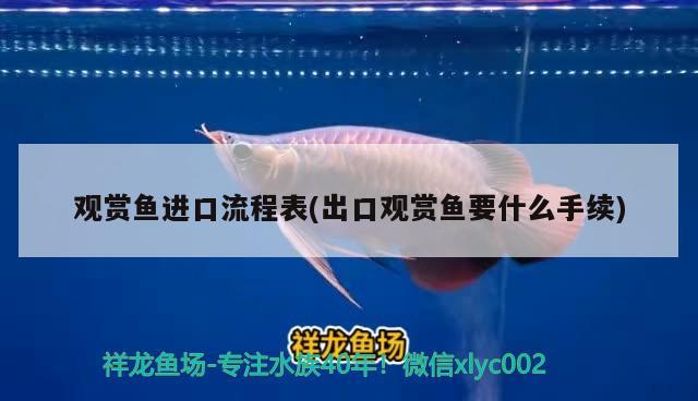 觀賞魚進口流程表(出口觀賞魚要什么手續(xù))