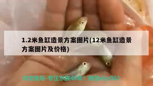 濮陽魚缸定制廠家地址及電話號碼：濮陽市魚缸市場