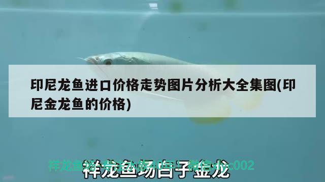 森森魚缸燈led燈（森森魚缸燈光設(shè)置） 魟魚百科 第3張