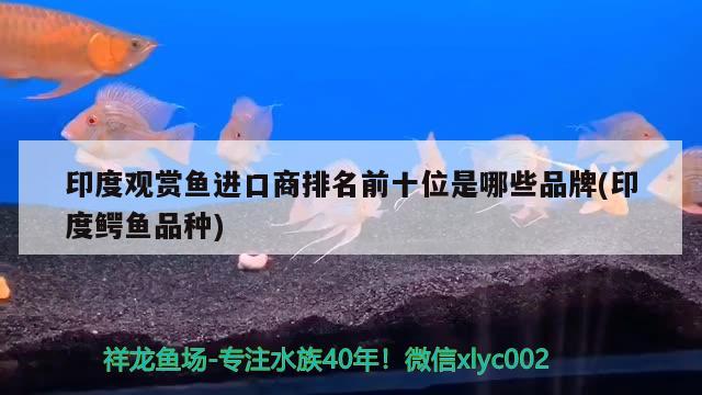 印度觀賞魚進口商排名前十位是哪些品牌(印度鱷魚品種) 觀賞魚進出口