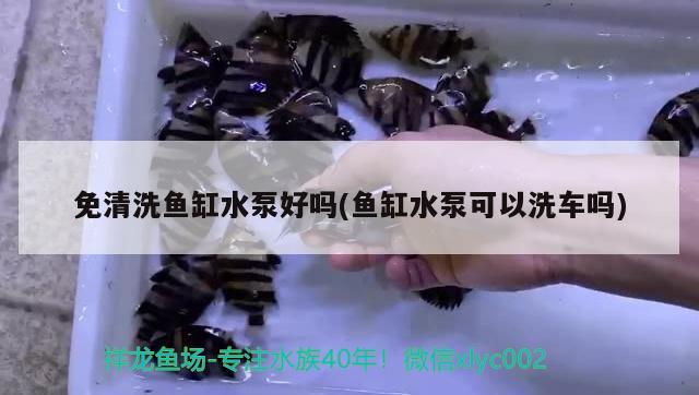 杭州魚缸制作廠家電話多少及杭州魚缸制作廠家電話號(hào)碼的重要性，如何找到杭州魚缸制作廠家電話號(hào)碼