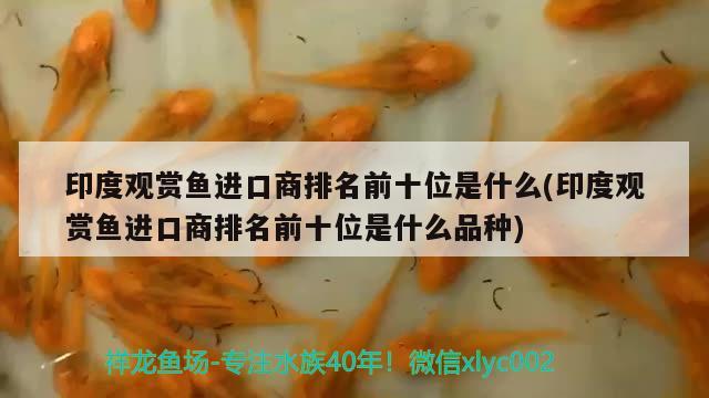 印度觀賞魚(yú)進(jìn)口商排名前十位是什么(印度觀賞魚(yú)進(jìn)口商排名前十位是什么品種) 觀賞魚(yú)進(jìn)出口