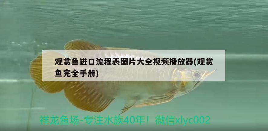 觀賞魚進口流程表圖片大全視頻播放器(觀賞魚完全手冊)