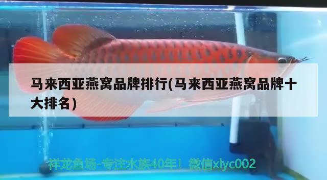 西安哪里魚缸便宜實惠的（西安哪里有賣高檔紅木魚缸的） 魚缸百科 第2張