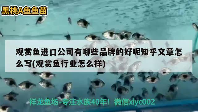 魚缸加熱棒哪里有賣的呀（魚缸加熱棒什么牌子好） 魚缸風水 第3張