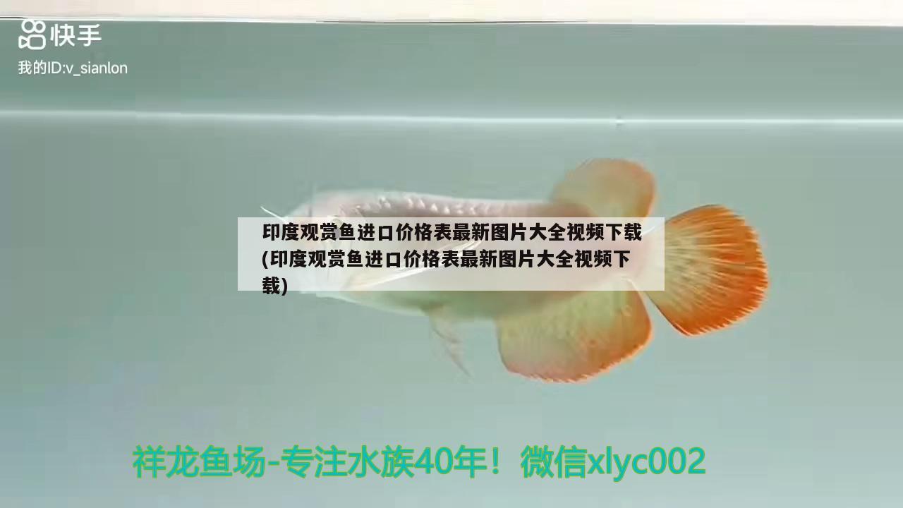 印度觀賞魚進(jìn)口價(jià)格表最新圖片大全視頻下載(印度觀賞魚進(jìn)口價(jià)格表最新圖片大全視頻下載) 觀賞魚進(jìn)出口