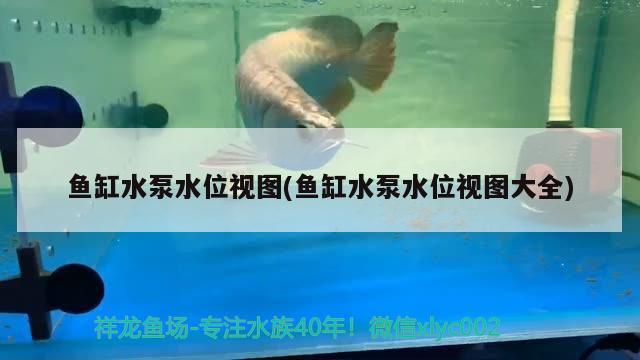 魚缸水泵水位視圖(魚缸水泵水位視圖大全)