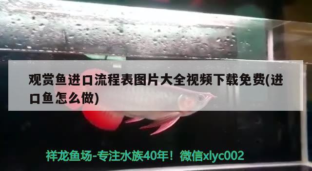 紹興水族批發(fā)市場在哪里?。ńB興水族批發(fā)市場在哪里啊電話） 養(yǎng)魚知識 第2張