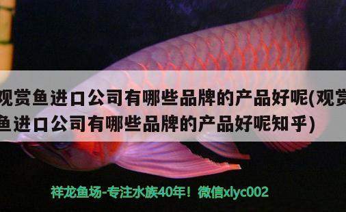 長(zhǎng)沙最大的水族市場(chǎng)（長(zhǎng)沙最大的魚市在哪里） 養(yǎng)魚知識(shí) 第1張