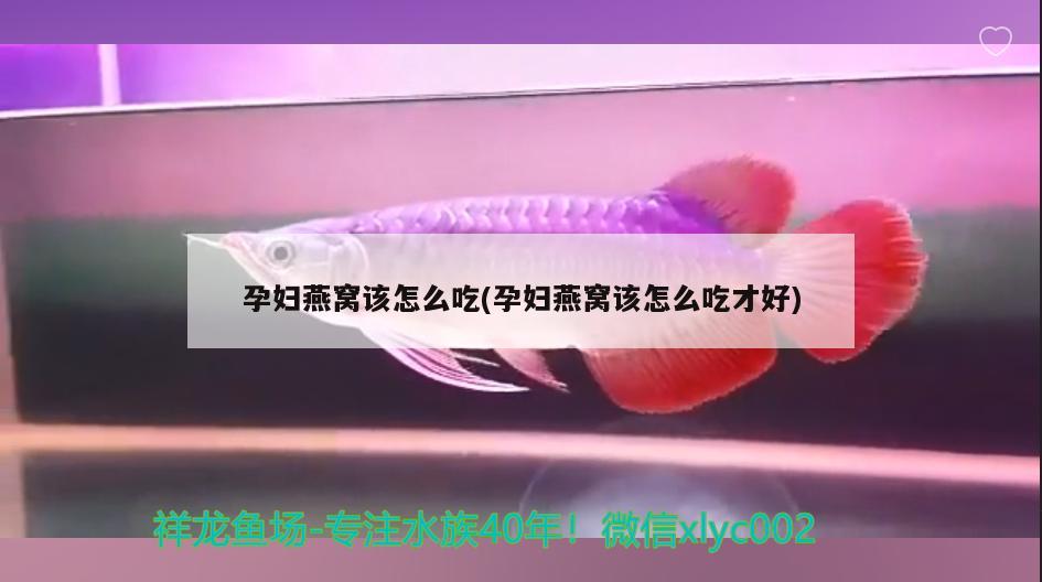 丹東魚缸定制廠家電話號碼查詢（丹東哪有做魚缸的） 三色錦鯉魚 第1張