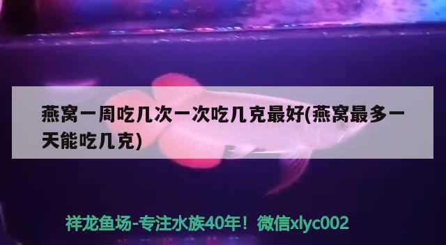 羅漢魚飼料哪種最好，羅漢魚吃什么最好，關于羅漢魚飼料的問題