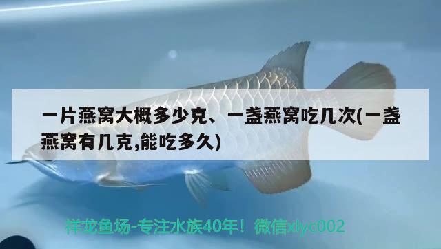 光特億加熱棒顯示e6：光特億加熱棒顯示e1