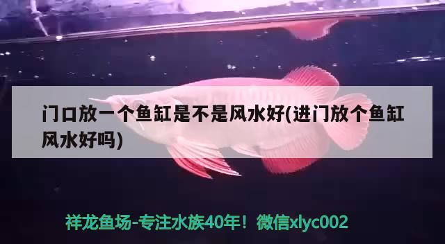 門口放一個魚缸是不是風(fēng)水好(進(jìn)門放個魚缸風(fēng)水好嗎) 魚缸風(fēng)水