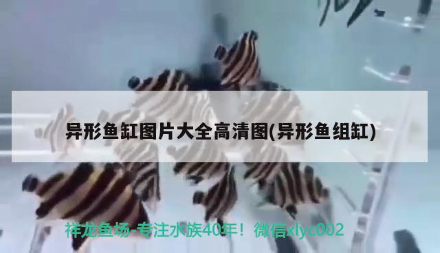 礦泉水瓶自制魚缸上濾器視頻 礦泉水瓶自制魚缸上濾器視頻教程 魚缸/水族箱 第2張